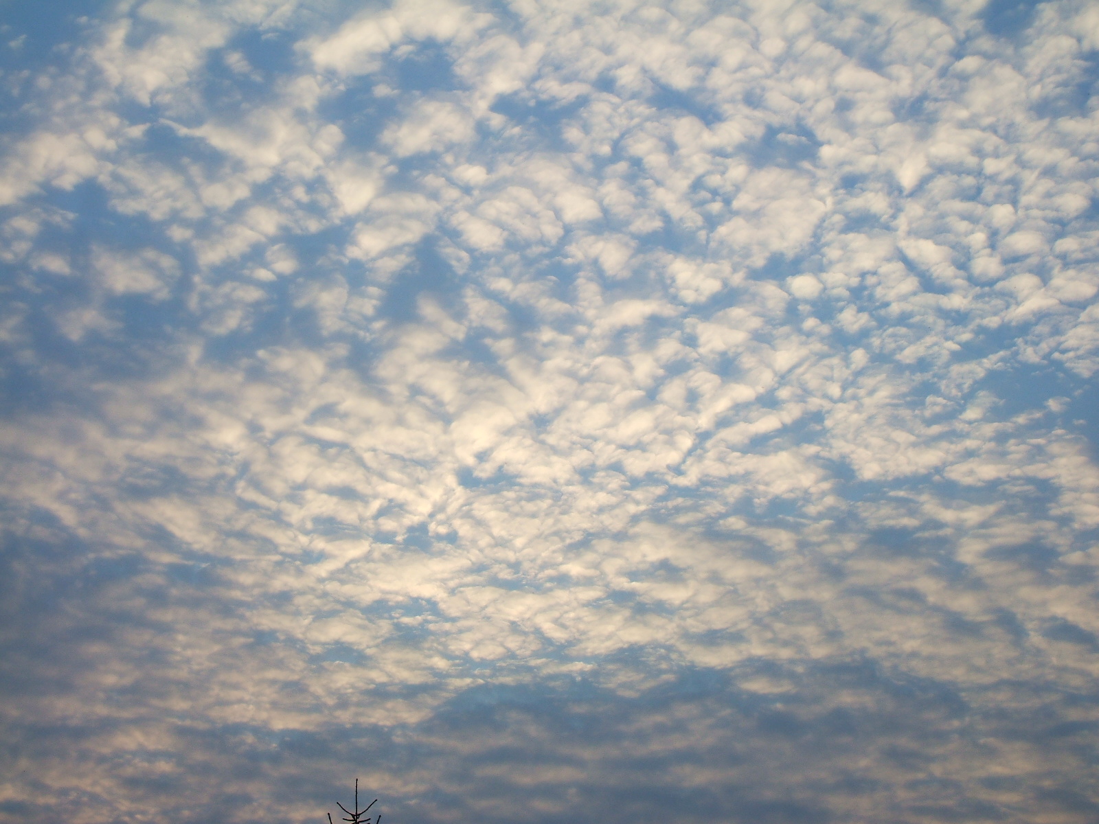 DSCF2842.JPG
