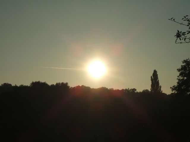 DSCF2911.JPG