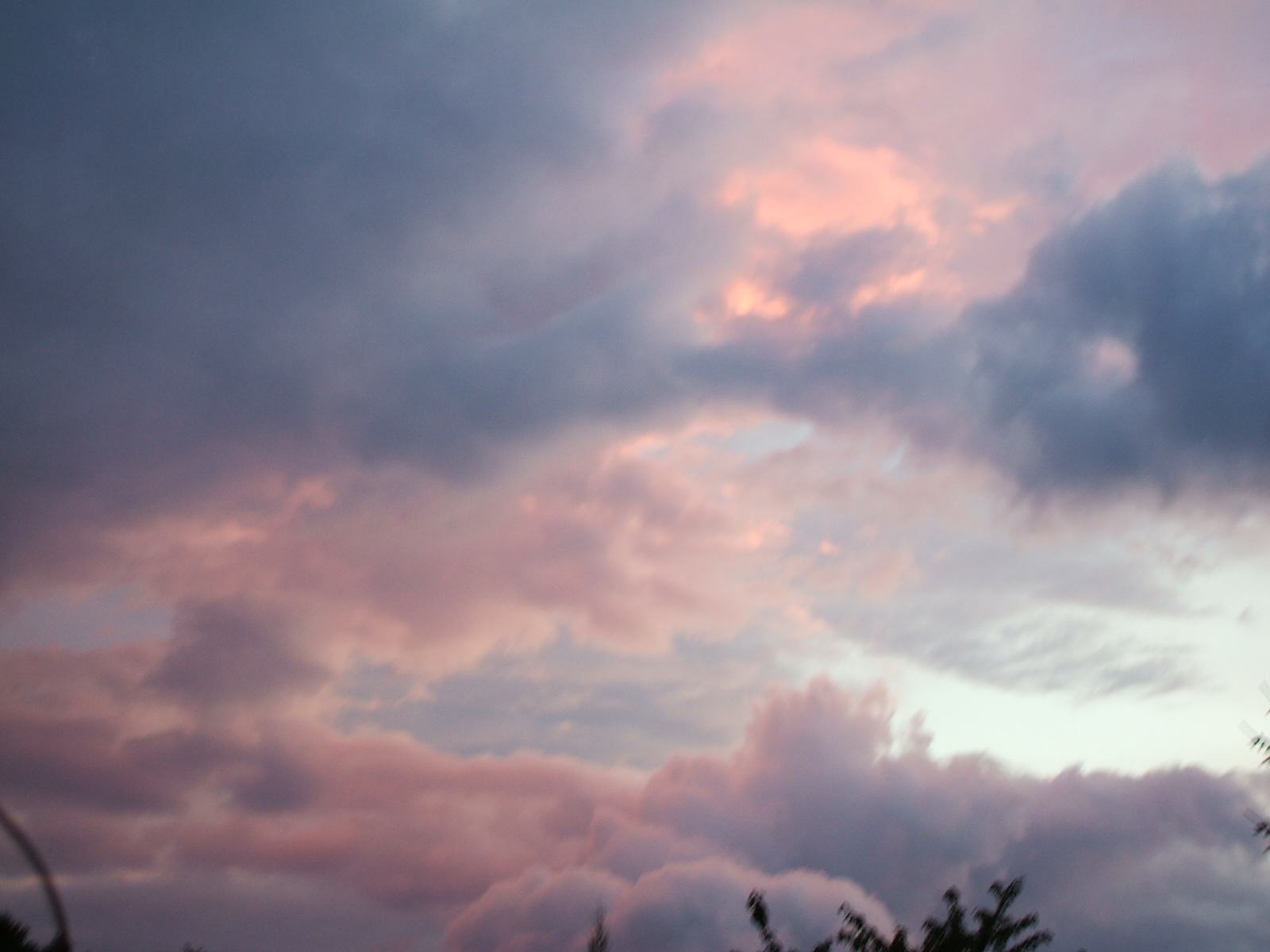 DSCF1354.JPG