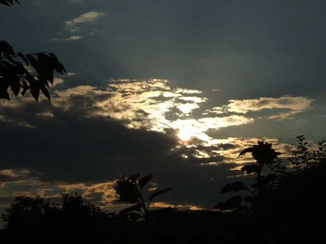 DSCF0416.JPG