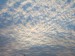 DSCF2842.JPG