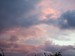 DSCF1354.JPG