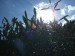 DSCF1594.JPG