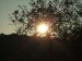 DSCF2910.JPG